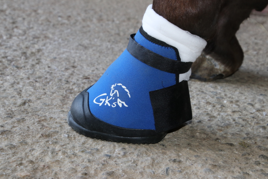 Medical Hoof Boot Hufverbandschutz Hufverletzung